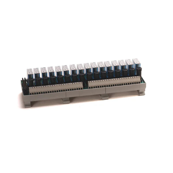 Allen-Bradley 1492-XIM4024-16RF module, 16-channel, 24V DC, ensures effective signal interface in control environments.